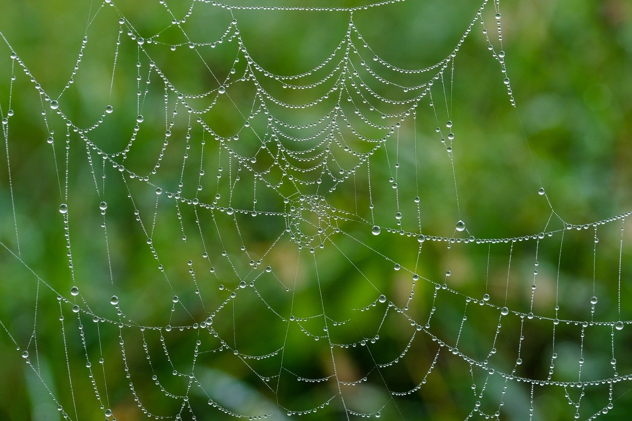 découvrez les compétences et les services d'un développeur web professionnel. spécialisé en création de sites internet, développement d'applications et optimisation de l'expérience utilisateur, apportant des solutions sur mesure pour tous vos projets numériques.